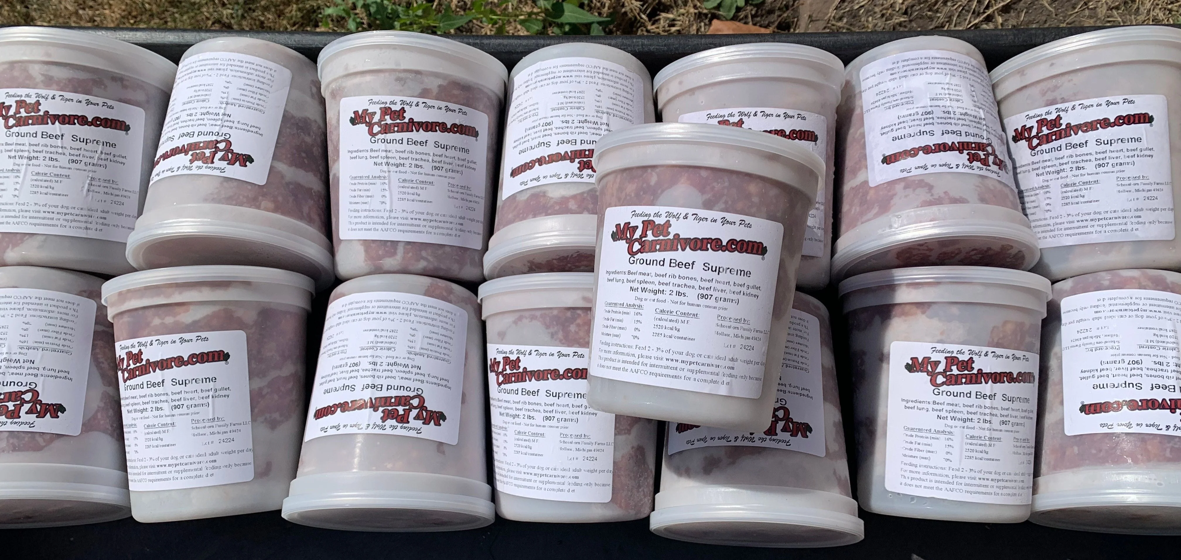 Raw Feeding for Natural Thriving